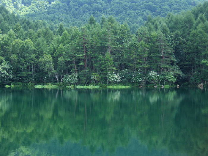 “harmony”　 NAGANOKEN